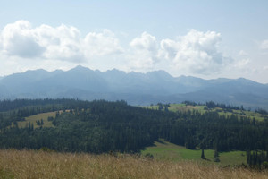 Działka na sprzedaż 4700m2 tatrzański Bukowina Tatrzańska - zdjęcie 2