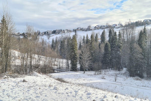 Działka na sprzedaż 4700m2 tatrzański Bukowina Tatrzańska - zdjęcie 3