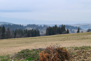 Działka na sprzedaż 5603m2 tatrzański Biały Dunajec os. Osiedle Leszczyny - zdjęcie 3