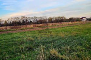 Działka na sprzedaż 2600m2 sandomierski Sandomierz - zdjęcie 3