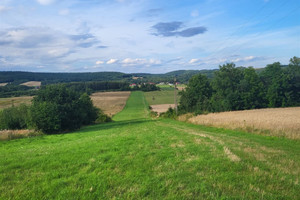 Działka na sprzedaż 22400m2 kielecki Raków Ociesęki - zdjęcie 2