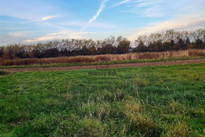 Działka na sprzedaż 4155m2 sandomierski Sandomierz - zdjęcie 2