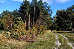 Działka na sprzedaż 4100m2 włoszczowski Radków Bałków - zdjęcie 2