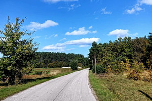 Działka na sprzedaż 4100m2 włoszczowski Radków Bałków - zdjęcie 3