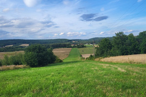 Działka na sprzedaż 22400m2 kielecki Raków Ociesęki - zdjęcie 1