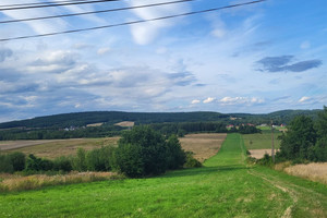 Działka na sprzedaż 22400m2 kielecki Raków Ociesęki - zdjęcie 4