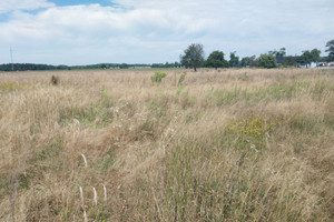 Działka na sprzedaż 914m2 grodziski Rakoniewice Wioska - zdjęcie 3