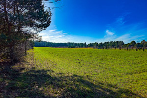 Działka na sprzedaż 1661m2 grodziski Żabia Wola Bartoszówka Pogodna - zdjęcie 3