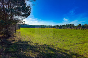 Działka na sprzedaż 1661m2 grodziski Żabia Wola Bartoszówka Pogodna - zdjęcie 3