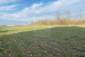 Działka na sprzedaż 1060m2 warszawski zachodni Błonie Dębówka - zdjęcie 2