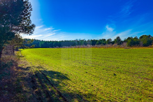 Działka na sprzedaż 1661m2 grodziski Żabia Wola Bartoszówka Pogodna - zdjęcie 1