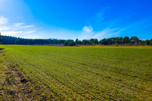 Działka na sprzedaż 1018m2 grodziski Żabia Wola Bartoszówka Pogodna - zdjęcie 3