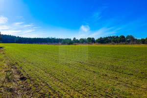 Działka na sprzedaż 1018m2 grodziski Żabia Wola Bartoszówka Pogodna - zdjęcie 3