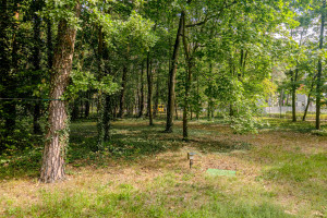 Działka na sprzedaż 2182m2 grodziski Podkowa Leśna Jana Pawła Ii - zdjęcie 1