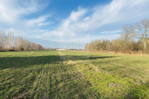 Działka na sprzedaż 1000m2 warszawski zachodni Błonie Dębówka - zdjęcie 3