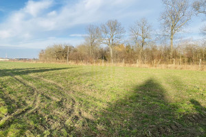 Działka na sprzedaż 1060m2 warszawski zachodni Błonie Dębówka - zdjęcie 3