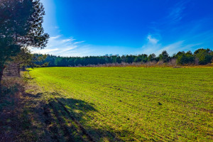 Działka na sprzedaż 1018m2 grodziski Żabia Wola Bartoszówka Pogodna - zdjęcie 1