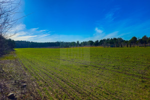 Działka na sprzedaż 1018m2 grodziski Żabia Wola Bartoszówka Pogodna - zdjęcie 2