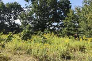 Działka na sprzedaż 1500m2 grodziski Grodzisk Mazowiecki - zdjęcie 3