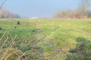 Działka na sprzedaż 1000m2 warszawski zachodni Błonie Dębówka - zdjęcie 2