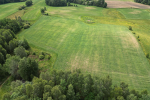 Działka na sprzedaż 9000m2 kartuski Kartuzy Stara Huta - zdjęcie 1