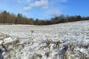 Działka na sprzedaż 2019m2 wejherowski Łęczyce Strzebielino Zagrodowa - zdjęcie 1