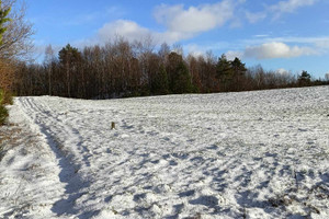 Działka na sprzedaż 2019m2 wejherowski Łęczyce Strzebielino Zagrodowa - zdjęcie 2