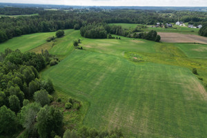 Działka na sprzedaż 9000m2 kartuski Kartuzy Stara Huta - zdjęcie 2