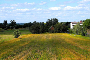 Działka na sprzedaż 4030m2 turecki Brudzew Galew - zdjęcie 3