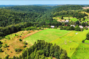 Działka na sprzedaż 7800m2 krakowski Krzeszowice Paczółtowice - zdjęcie 1