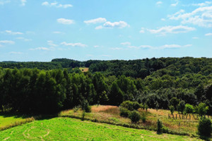 Działka na sprzedaż 7800m2 krakowski Krzeszowice Paczółtowice - zdjęcie 4