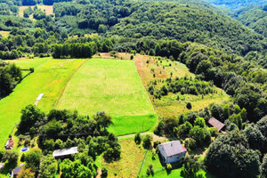 Działka na sprzedaż 7800m2 krakowski Krzeszowice Paczółtowice - zdjęcie 2