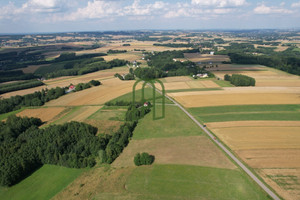 Działka na sprzedaż 5618m2 ropczycko-sędziszowski Iwierzyce Wiśniowa - zdjęcie 1