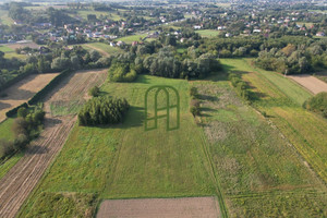 Działka na sprzedaż 8900m2 rzeszowski Lubenia Siedliska - zdjęcie 1