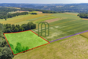 Działka na sprzedaż 6680m2 rzeszowski Błażowa Białka - zdjęcie 3