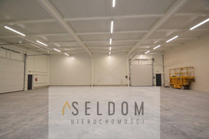 Komercyjne do wynajęcia 330m2 Opole Śródmieście - zdjęcie 1