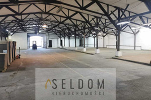 Komercyjne do wynajęcia 1000m2 Jelenia Góra Śródmieście - zdjęcie 1