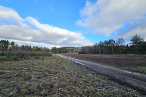 Działka na sprzedaż 92775m2 wejherowski Szemud Donimierz Piekiełko - zdjęcie 4