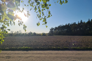 Działka na sprzedaż 3820m2 sochaczewski Sochaczew Przylasek - zdjęcie 2