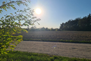 Działka na sprzedaż 3820m2 sochaczewski Sochaczew Przylasek - zdjęcie 2