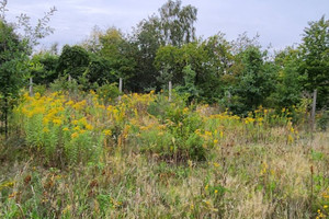 Działka na sprzedaż 3099m2 zgierski Zgierz Józefów - zdjęcie 1