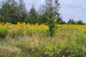 Działka na sprzedaż 3099m2 zgierski Zgierz Józefów - zdjęcie 3