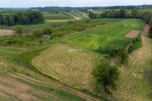 Działka na sprzedaż trzebnicki Trzebnica Taczów Wielki Malinowa - zdjęcie 3