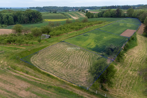 Działka na sprzedaż trzebnicki Trzebnica Brochocin Malinowa - zdjęcie 1