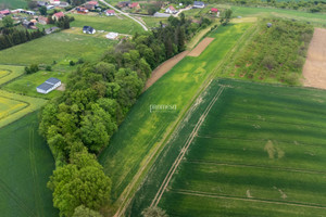 Działka na sprzedaż trzebnicki Trzebnica Taczów Wielki Malinowa - zdjęcie 2