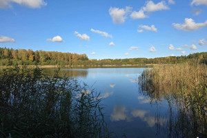 Działka na sprzedaż 2655m2 szczycieński Dźwierzuty Targowo - zdjęcie 1