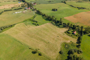 Działka na sprzedaż 46000m2 olsztyński Biskupiec Kobułty - zdjęcie 2