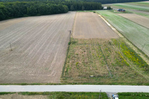 Działka na sprzedaż 1298m2 miechowski Miechów Pojałowice - zdjęcie 3