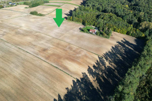 Działka na sprzedaż 27300m2 pińczowski Działoszyce Wola Knyszyńska - zdjęcie 2