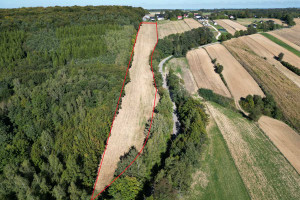 Działka na sprzedaż 13870m2 miechowski Miechów Podleśna Wola Górna - zdjęcie 2